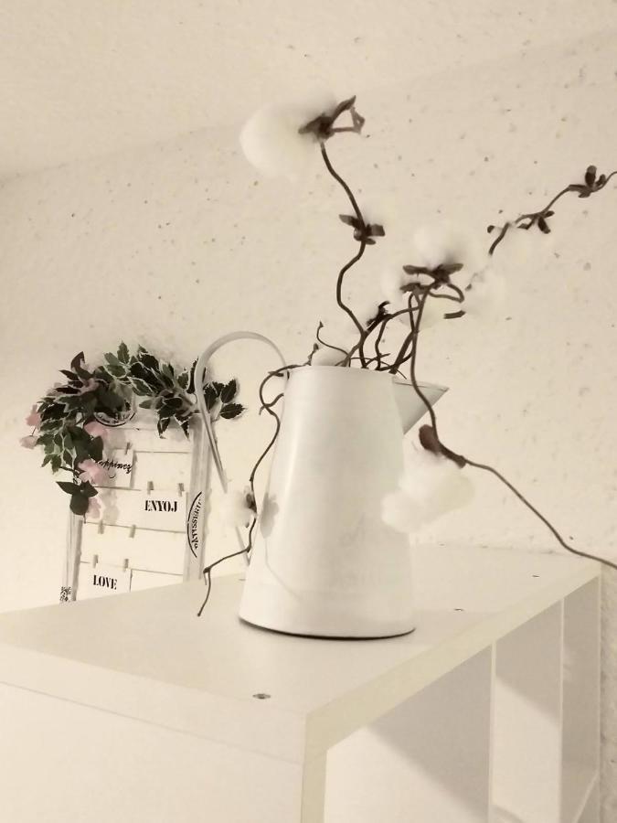 Apartament Ninas Dream Vrsar Zewnętrze zdjęcie